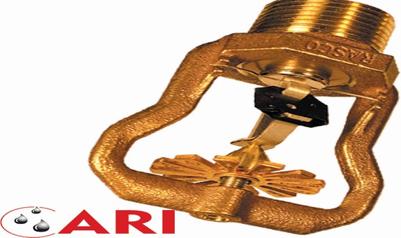 BSH, Bir Kez Daha Arı Yangın'ı Tercih Etti BSH, Bir Kez Daha Arı Yangın'ı Tercih Etti