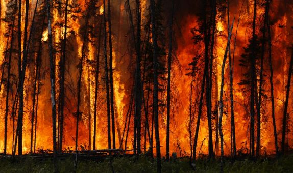 Orman Yangınlarında TPS Modüllerinin Kullanılması