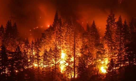 Orman Yangını ile Karşılaşınca Yapmamız Gerekenler