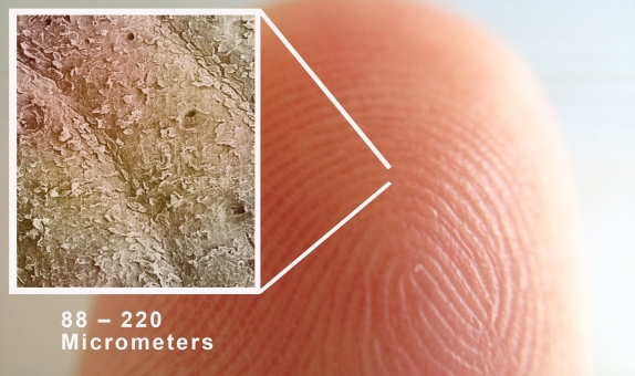 Tesis Güvenliğinde Geçiş Kontrol Sistemlerinin Yeri