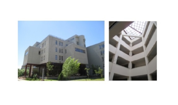 Yakıt Malzemelerinin Yanma Özelliklerinin Yangın Durumunda İnsanların Tahliyesi Üzerine Etkileri