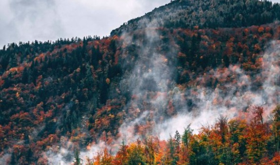 Yangınlarla Mücadele Projesi "FireAId" Davos Zirvesi'nde Dünyaya Örnek Gösterildi