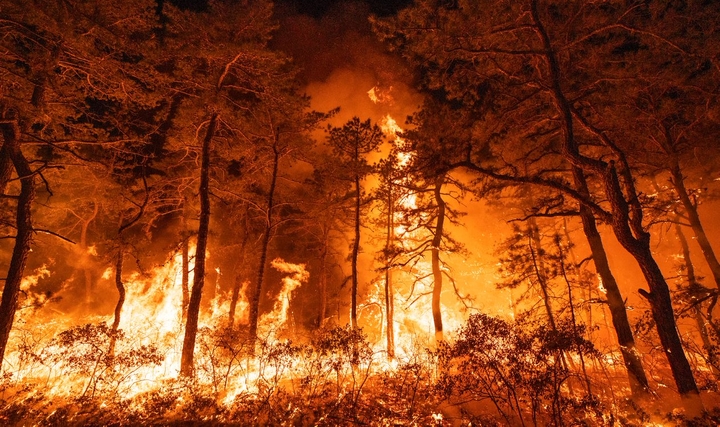 Orman Yangınlarının Süresi Son 35 Yılda Yüzde 19 Arttı