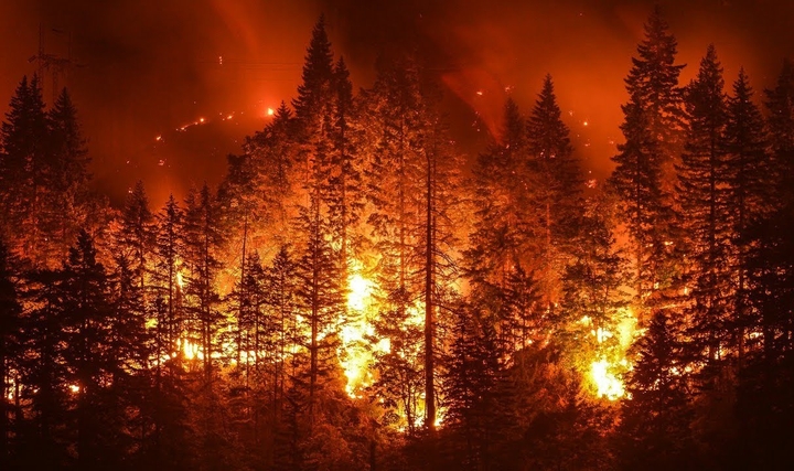 Bir Mega Yangının Şiddeti, Söndürme Operasyonları ve Önceki Yanıkların Etkileşimleriyle Azaltıldı Bir Mega Yangının Şiddeti, Söndürme Operasyonları ve Önceki Yanıkların Etkileşimleriyle Azaltıldı