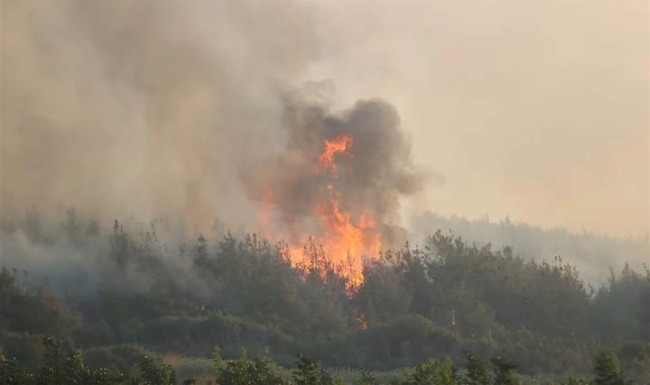 Allianz Yükselen Risk Trendleri Raporu 2025: Orman Yangınları Yükselen Yeni Küresel Risk Allianz Yükselen Risk Trendleri Raporu 2025: Orman Yangınları Yükselen Yeni Küresel Risk