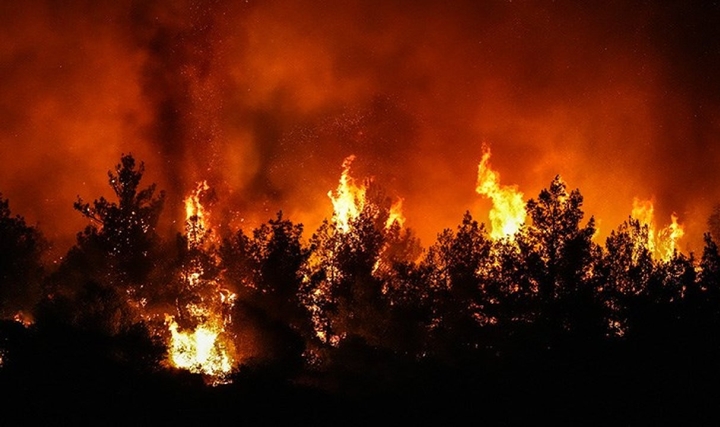 Orman Yangınlarıyla Mücadelede Görevli İşçilerin Mevcut Durumu (İzmir Orman Bölge Müdürlüğü Örneği)* Orman Yangınlarıyla Mücadelede Görevli İşçilerin Mevcut Durumu (İzmir Orman Bölge Müdürlüğü Örneği)*