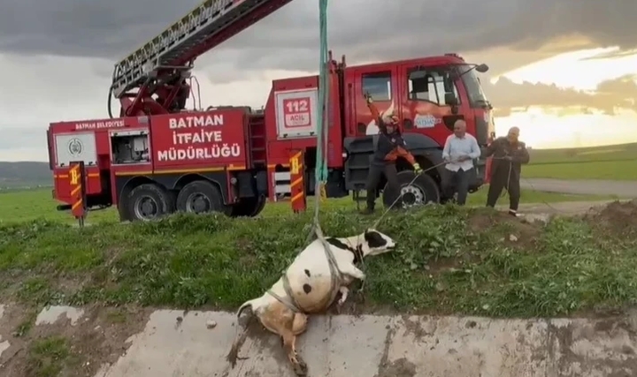 İtfaiye Ekiplerimiz Hayvan Kurtarma Olaylarına Hazırlıklı mı?
