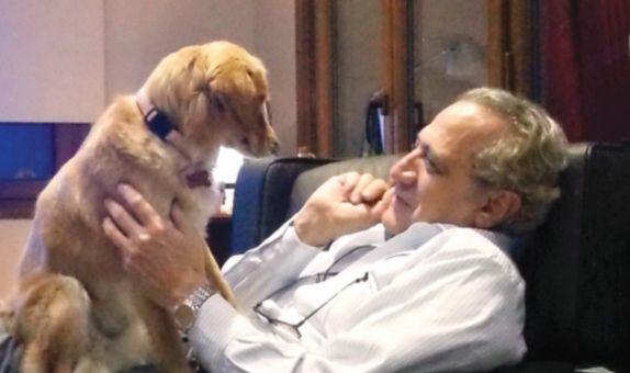 Türkiye'de Yüksek Binalar Güvenli mi?