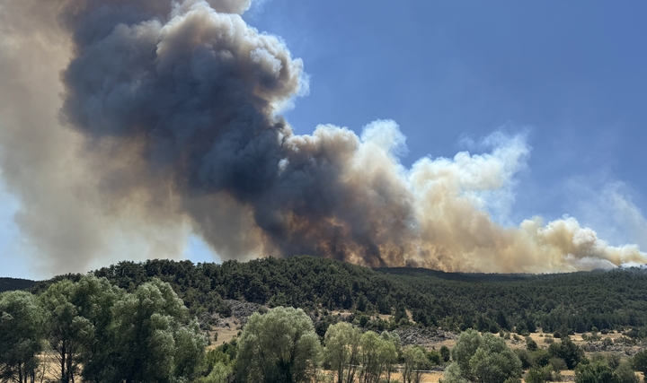 Eskişehir Orman Yangınında 10 Şehit