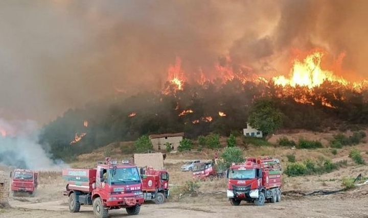 Eskişehir Orman Yangını Neyi Gösterdi?