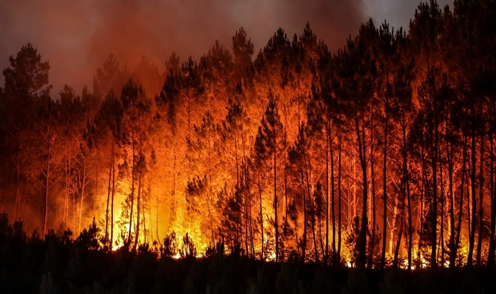 Orman Yangınlarıyla Mücadelenin En İyi Yolu Nedir?