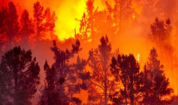 Uyarı Sistemi ile Orman Yangınlarına Erken Müdahale Mümkün Uyarı Sistemi ile Orman Yangınlarına Erken Müdahale Mümkün